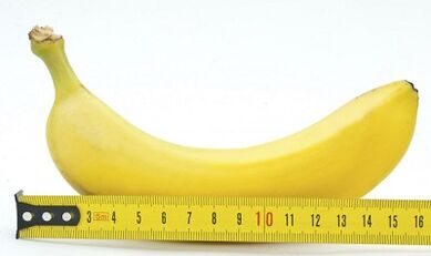 Die optimale Größe des Penis